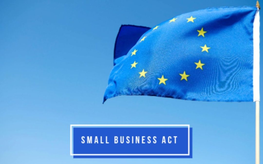 Small business act: The 10 EU principles to support and enhance European small and medium-sized enterprises