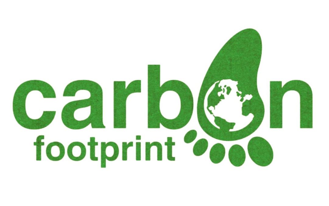 Carbon Footprint: The sustainable future of business